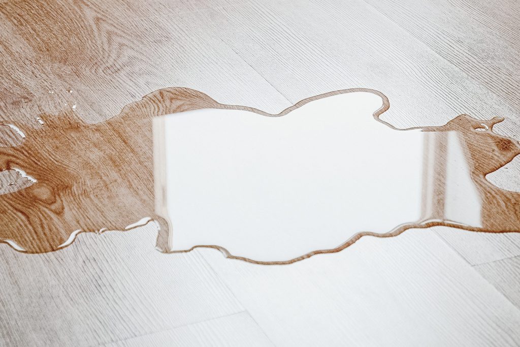 A clear puddle spreading across a pale wood floor, darkening the boards it has soaked into.